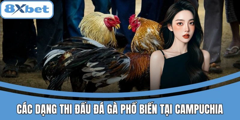 Các dạng thi đấu đá gà phổ biến tại Campuchia