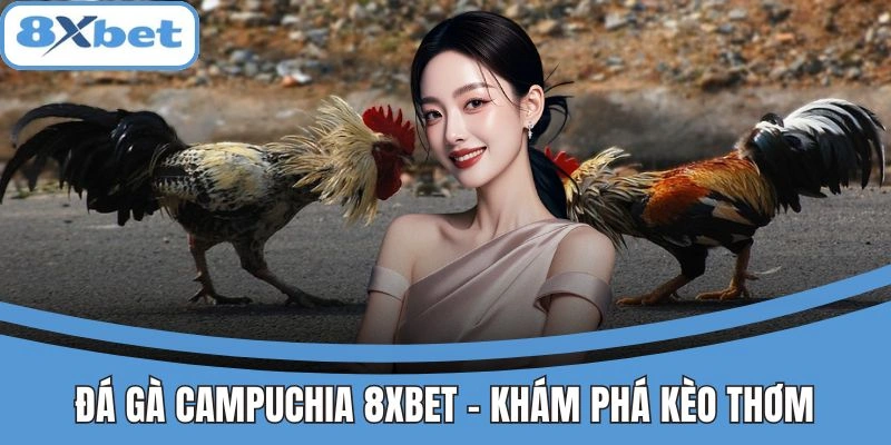á Gà Campuchia 8xbet - Khám Phá Kèo Thơm Lợi Nhuận Cao