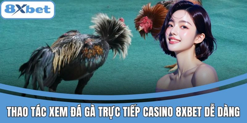 Thao tác xem đá gà trực tiếp casino 8xbet dễ dàng