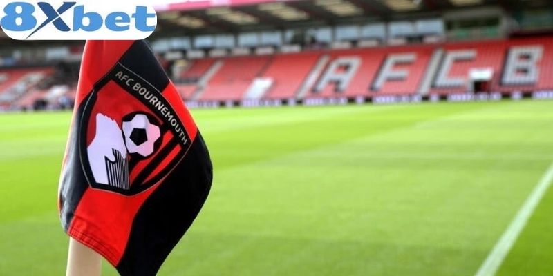 AFC Bournemouth 8xbet luôn phát triển nội dung độc quyền